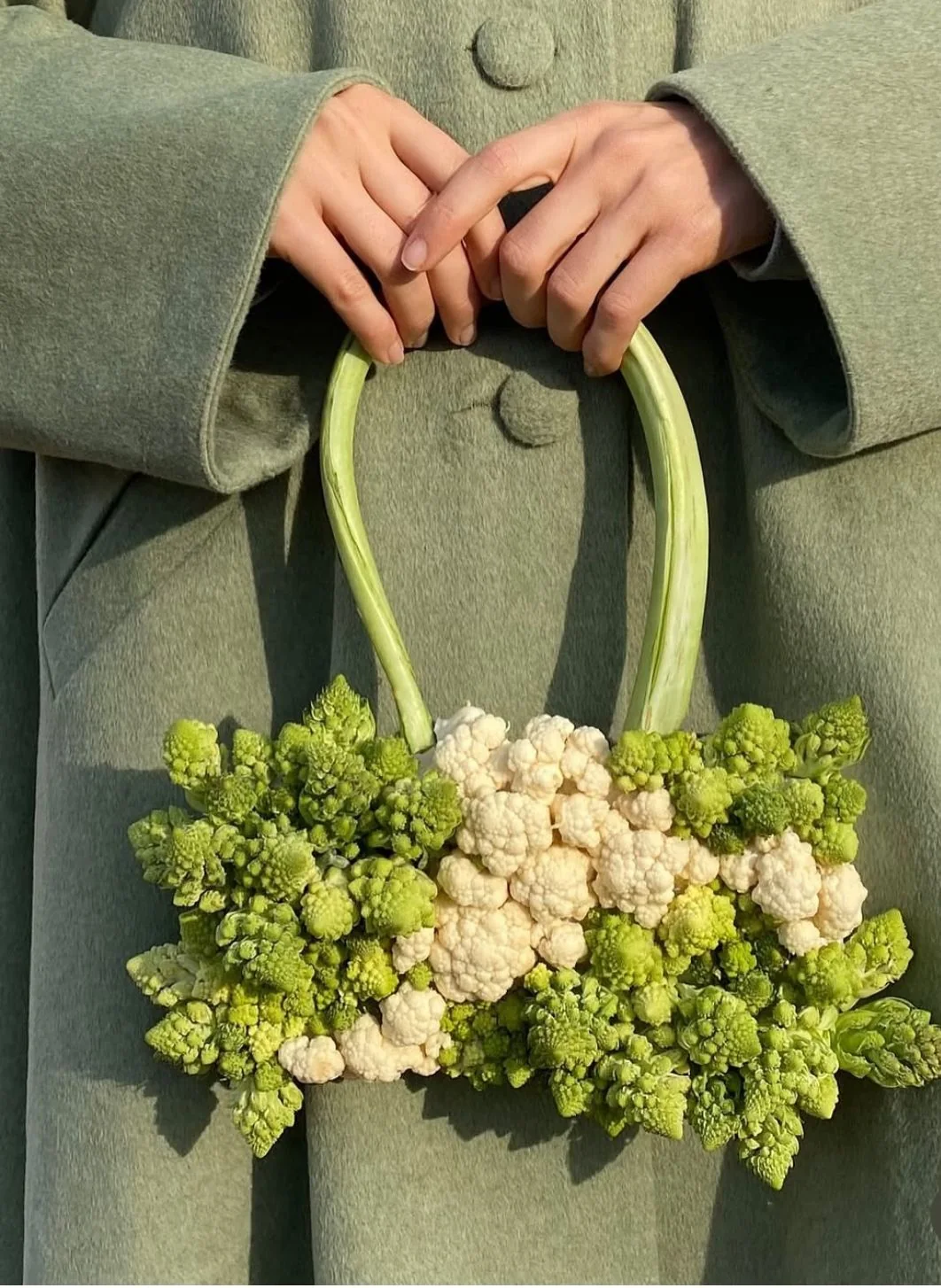 Hands holding a botanical object made from green stems and pale clustered flowers.