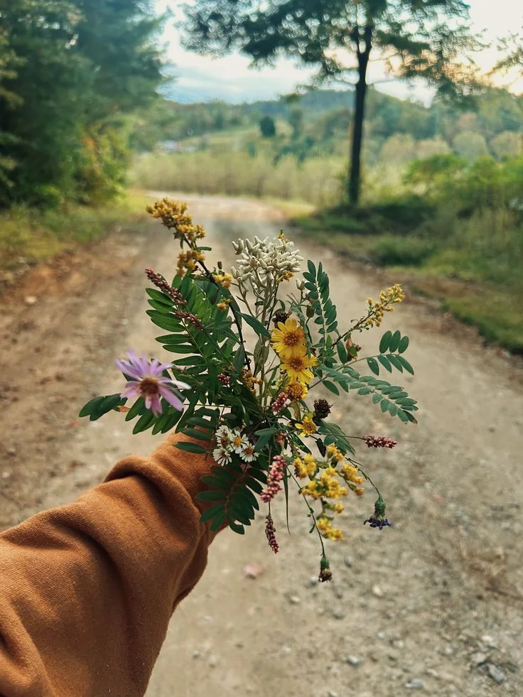 A small botanical bundle held beside a country path and trees.